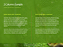 Emerald Python Coiled on Tree Presentation slide 5