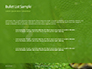Emerald Python Coiled on Tree Presentation slide 7