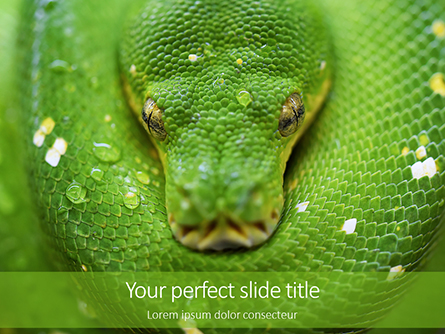 Emerald Python Coiled on Tree Presentation Presentation Template, Master Slide