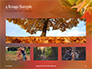 Autumn Maple Leaves Presentation slide 13