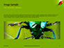Lily Beetle Sitting on a Green Leaf Presentation slide 10