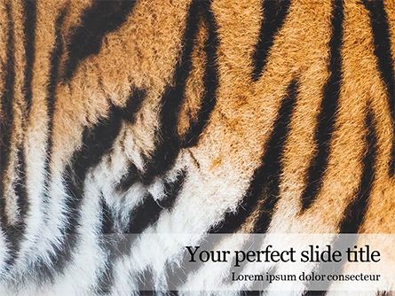 Close View of Tiger Skin Presentation Presentation Template, Master Slide