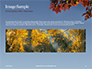 Maple Tree Branch in Autumn against Blue Sky Presentation slide 10