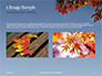 Maple Tree Branch in Autumn against Blue Sky Presentation slide 11