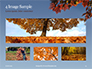 Maple Tree Branch in Autumn against Blue Sky Presentation slide 13