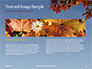 Maple Tree Branch in Autumn against Blue Sky Presentation slide 14