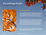Maple Tree Branch in Autumn against Blue Sky Presentation slide 15