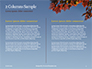 Maple Tree Branch in Autumn against Blue Sky Presentation slide 5