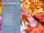 Maple Tree Branch in Autumn against Blue Sky Presentation slide 9
