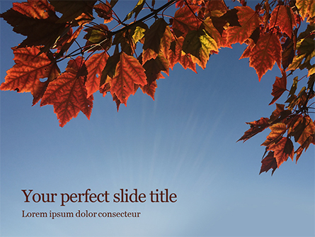 Maple Tree Branch in Autumn against Blue Sky Presentation Presentation Template, Master Slide