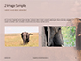 African Elephants Presentation slide 11