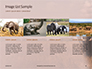 African Elephants Presentation slide 16