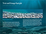 Sunbeams Underwater with Rocks on the Seabed Presentation slide 14