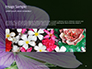 Violet Malva Flower Closeup Presentation slide 10