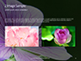 Violet Malva Flower Closeup Presentation slide 11