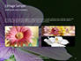 Violet Malva Flower Closeup Presentation slide 12