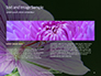 Violet Malva Flower Closeup Presentation slide 14