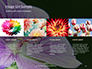 Violet Malva Flower Closeup Presentation slide 16