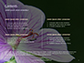 Violet Malva Flower Closeup Presentation slide 2
