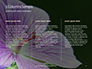 Violet Malva Flower Closeup Presentation slide 6