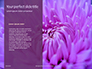 Violet Malva Flower Closeup Presentation slide 9