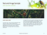 The Blue-Crowned Laughingthrush Among Tree Leaves Presentation slide 14