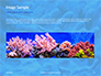 Coral Reef Macro Texture Presentation slide 10