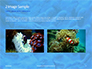 Coral Reef Macro Texture Presentation slide 11