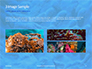 Coral Reef Macro Texture Presentation slide 12