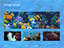 Coral Reef Macro Texture Presentation slide 13