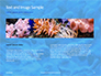 Coral Reef Macro Texture Presentation slide 14