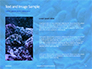 Coral Reef Macro Texture Presentation slide 15