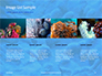 Coral Reef Macro Texture Presentation slide 16