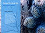 Coral Reef Macro Texture Presentation slide 9