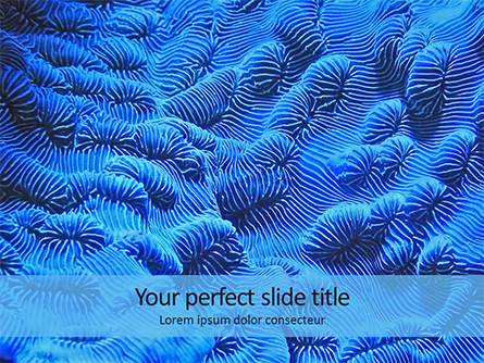 Coral Reef Macro Texture Presentation Presentation Template, Master Slide