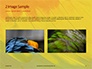 Colorful Background of Parrot Bird Feathers Presentation slide 11