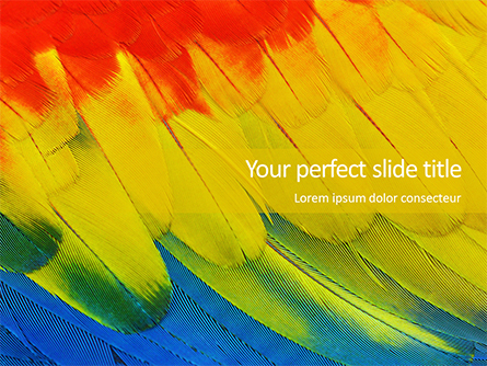 Colorful Background of Parrot Bird Feathers Presentation Presentation Template, Master Slide