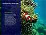 Yellow Tang Fish in Aquarium Presentation slide 9