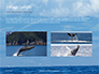 Seascape with Whale Tail Presentation slide 12