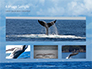 Seascape with Whale Tail Presentation slide 13