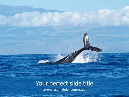 Seascape with Whale Tail Presentation Presentation Template, Master Slide