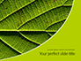 Fresh Green Leaf Texture Presentaiton slide 1