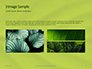 Fresh Green Leaf Texture Presentaiton slide 12