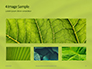 Fresh Green Leaf Texture Presentaiton slide 13