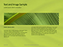 Fresh Green Leaf Texture Presentaiton slide 14