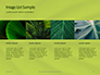 Fresh Green Leaf Texture Presentaiton slide 16