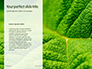 Fresh Green Leaf Texture Presentaiton slide 9