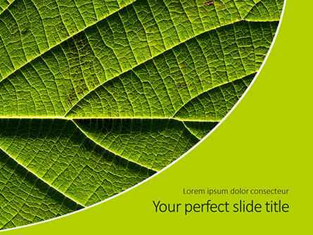 Fresh Green Leaf Texture Presentaiton Presentation Template, Master Slide
