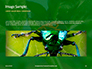 Firebug Pyrrhocoris Apterus on Green Twig Presentation slide 10