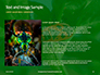 Firebug Pyrrhocoris Apterus on Green Twig Presentation slide 15